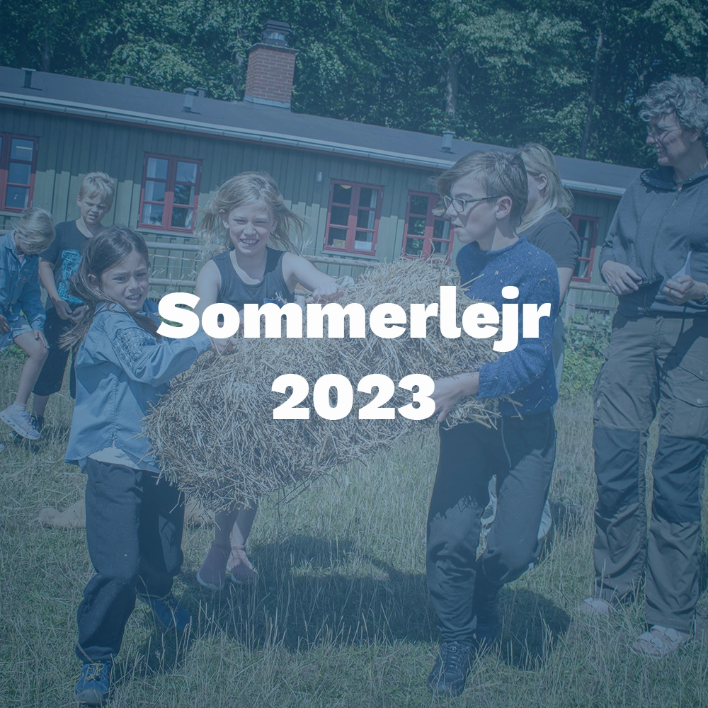 FDF Sommerlejr 2023